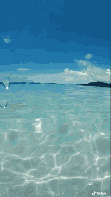 Ocean Thewaterkillsme GIF