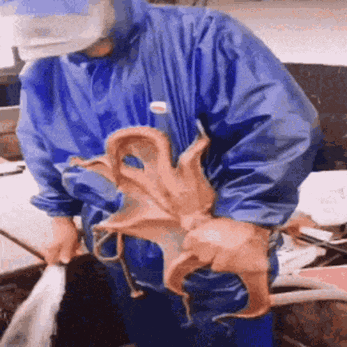 Octo Octopus GIF