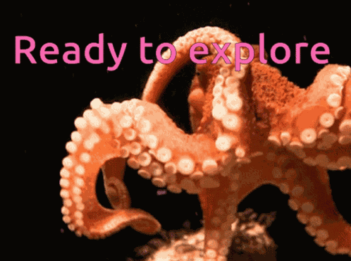 Octopus Curious GIF