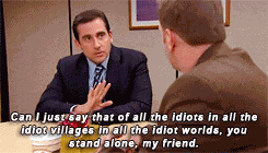 Of All The Idiots Michael Scott GIF