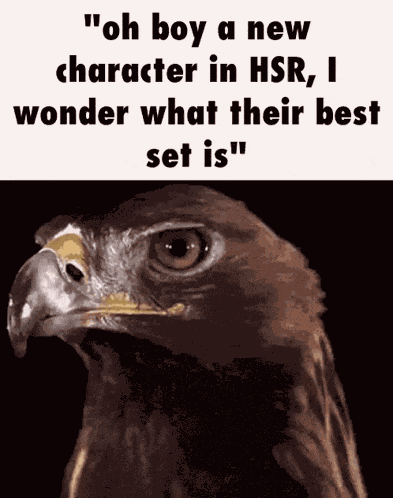 Oh Boy A New Character In Hsr GIF