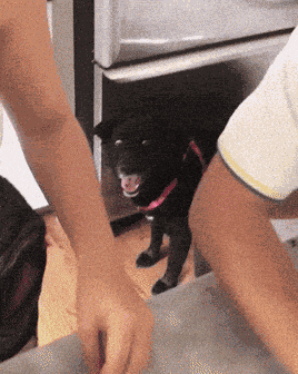 Oh No GIF