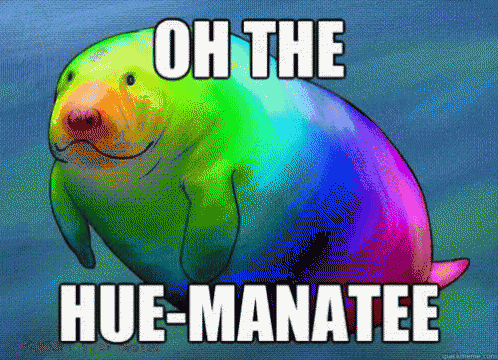 Oh The Hue-manatee GIF