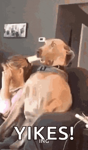 Oh Uh Oh’ GIF