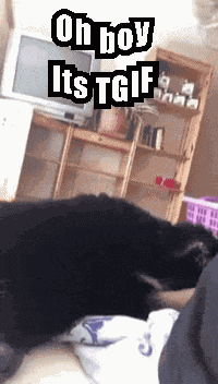 Ohboyitstgif Ohboyitsfriday GIF