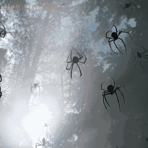 Ohh Sergei Kravinoff GIF