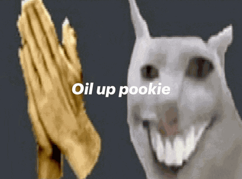 Oil Up Cat Meme