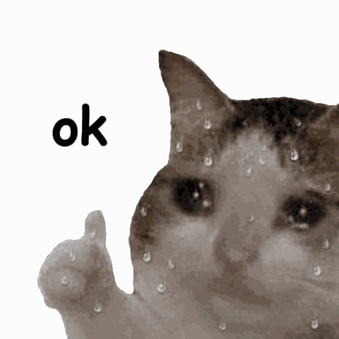 Ok Cat GIF