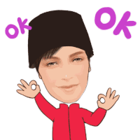 Ok Meme Indonesia Sticker