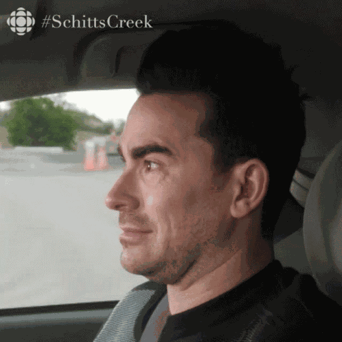 Okay David Rose GIF