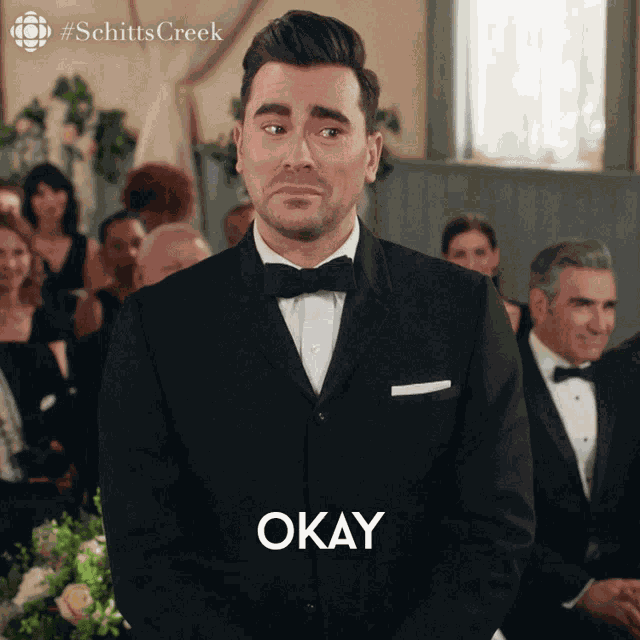 Okay I Think Were Good Dan Levy GIF