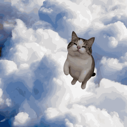 Okcat Thumbs Up GIF