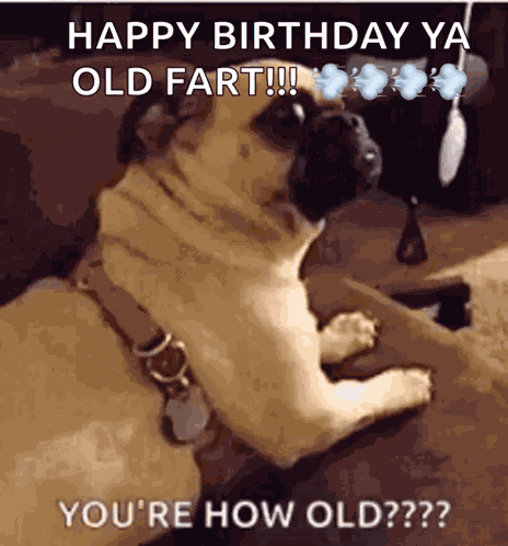 Old Getting GIF