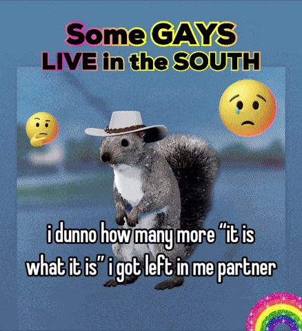 Omg Lol Omg Really GIF