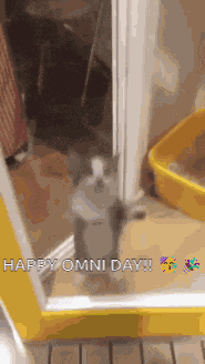 Omni Cat GIF
