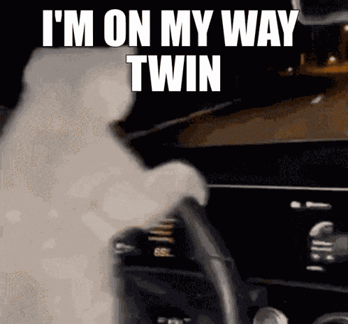 Omw Twin GIF