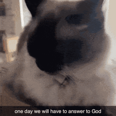 One Day We Will Have To Answer To God Bruen GIF