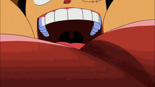 One Piece Anime GIF