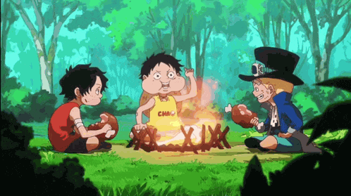 One Piece Luffy Giving Sabo The Name Sa D Bo One Piece Sa D Bo GIF