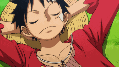 One Piece Monkey D Luffy GIF