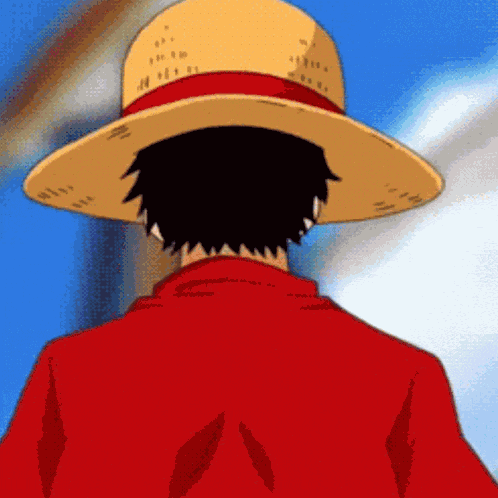 One Piece Monkeydluffy GIF