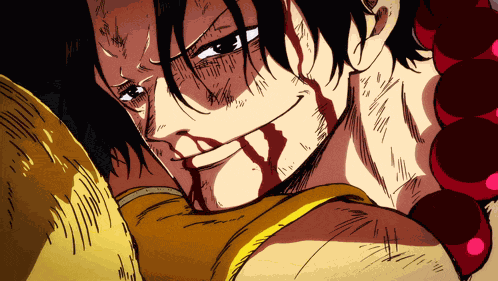 One Piece One Piece 3d2y GIF