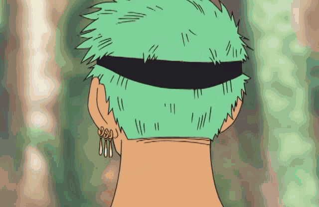 One Piece One Piece Zoro GIF