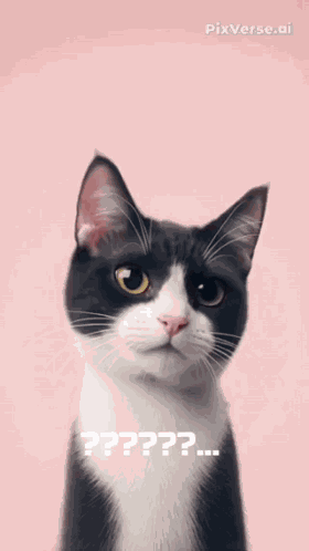 Onet001 GIF