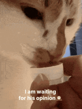 Opinion Waiting For His Opinion GIF