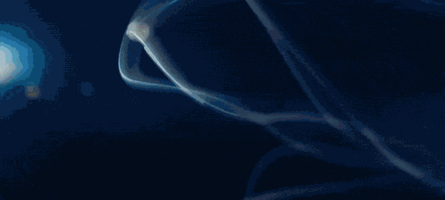 Oppenheimer Oppenheimer Movie GIF