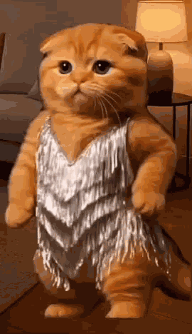 Orange Cat Dancing GIF