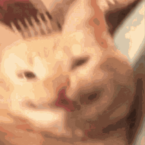 Orange Cat Smiling GIF