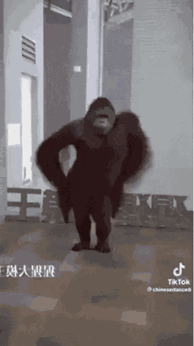 Orangutan Dance GIF