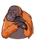Orangutan Telegram Orangutan Sticker