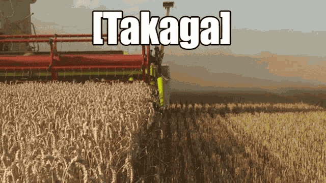 Osu Takaga GIF