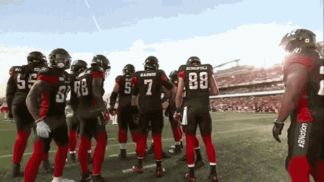 Ottawa Redblacks Redblacks GIF