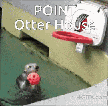 Otter Point Otter House GIF