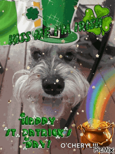 Otto Otto Dog GIF