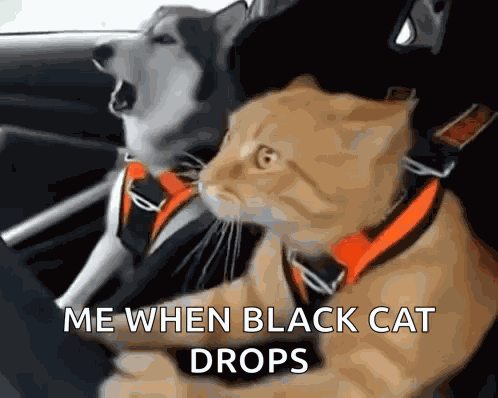 Otw Omw GIF