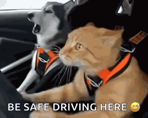 Otw Omw GIF