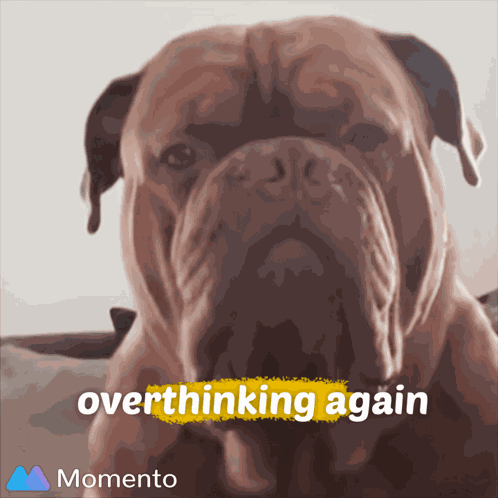 Overthinking Don'T Overthink GIF