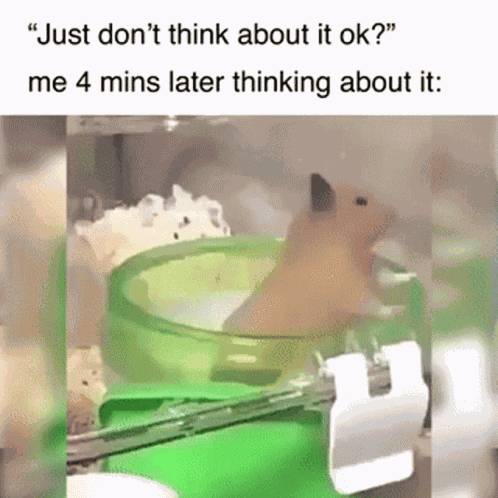 Overthinking Hamster GIF