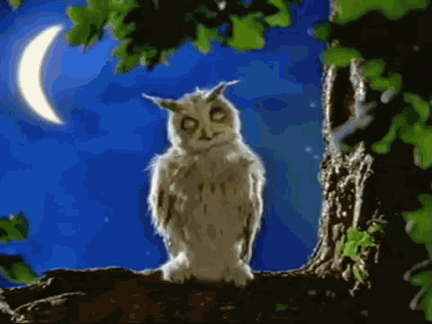 Owl House Sleepwalk GIF