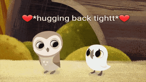 Owlie Hug Tightttt GIF