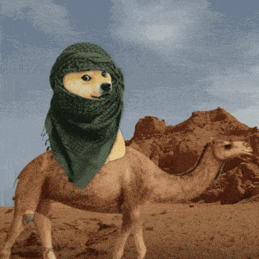 Ownthedoge Own The Doge GIF