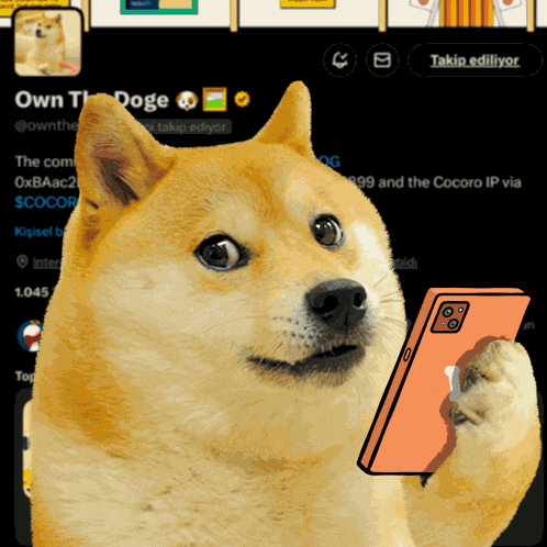 Ownthedoge Own The Doge GIF