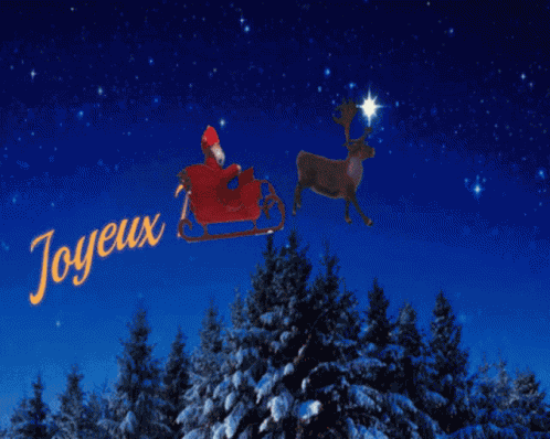 Père Noël GIF