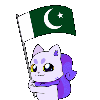 Pakistan Pak Sticker