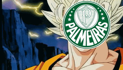 Palmeiras Flamengo GIF
