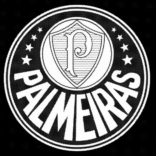 Palmeiras Soccer GIF